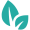 Teal leaf icon, representing nature or eco-friendly themes, on a white background.